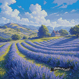Lavender Fields ©Artifey