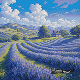 Lavender Fields ©Artifey