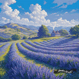 Lavender Fields ©Artifey