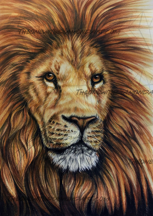 Lion ©ArtByThree