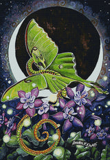 Lunar Lights ©Carla Morrow