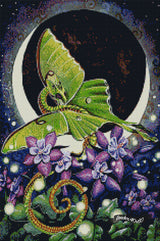 Lunar Lights ©Carla Morrow