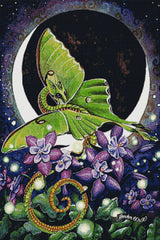 Lunar Lights ©Carla Morrow