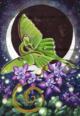 Lunar Lights ©Carla Morrow