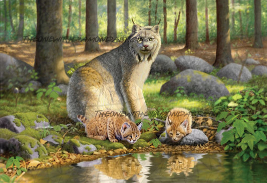 Lynx And Kittens ©Chris Hiett. Licensed by MGL, www.mglart.com