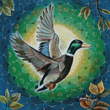 Mallard Taking Flight ©Verena Wild / GratefulLicensing.com
