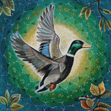 Mallard Taking Flight ©Verena Wild / GratefulLicensing.com