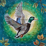 Mallard Taking Flight ©Verena Wild / GratefulLicensing.com