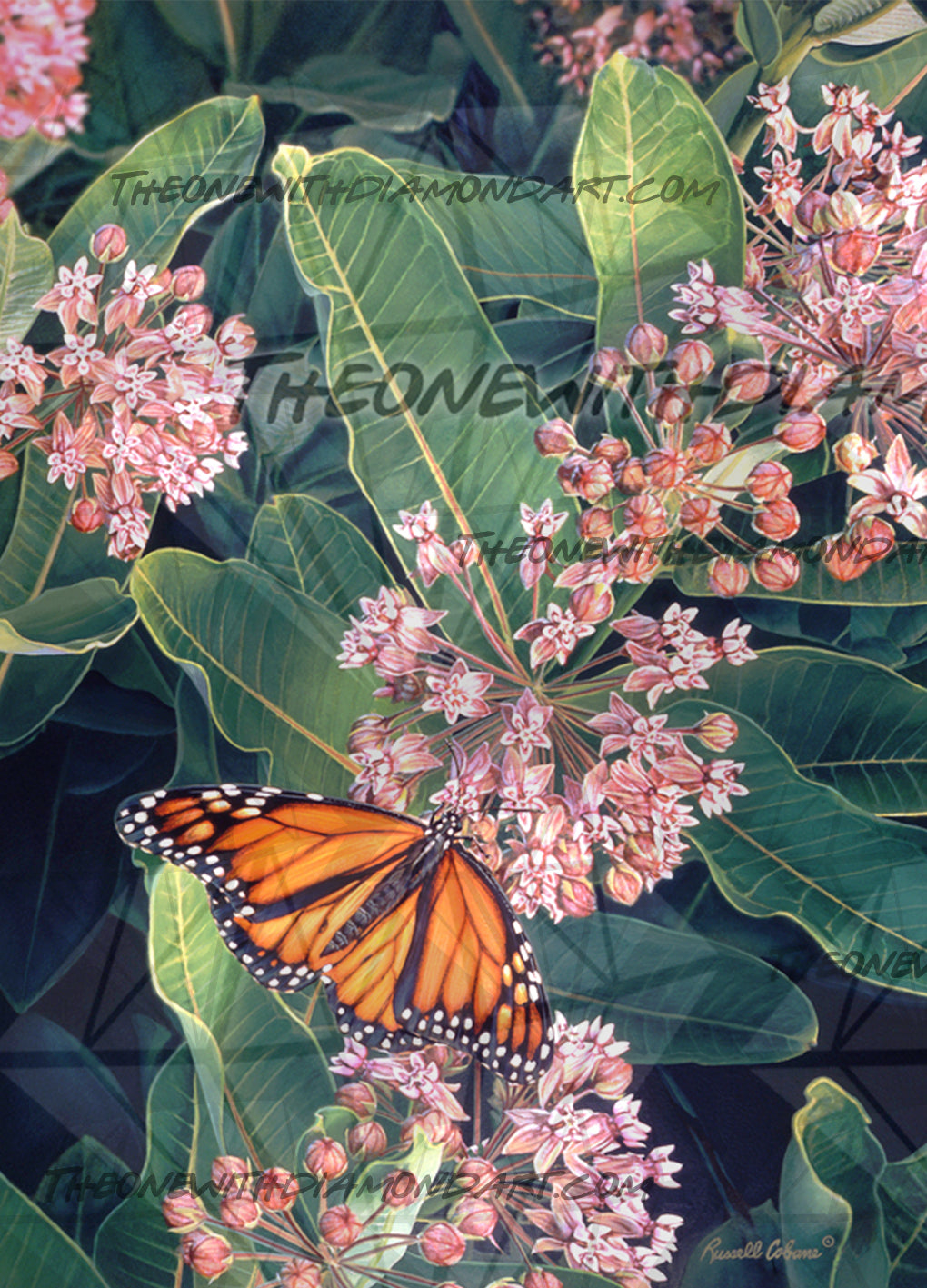 Monarch On Milkweed ©Russell Cobane. Licensed by MGL, www.mglart.com