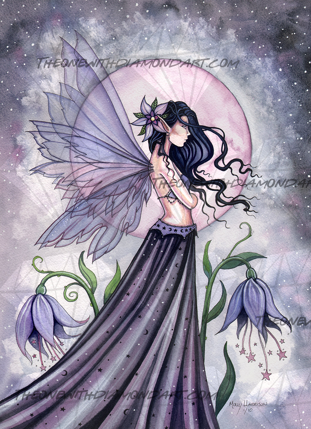 *Hand-Rendered* Orchid Of The Night ©Molly Harrison