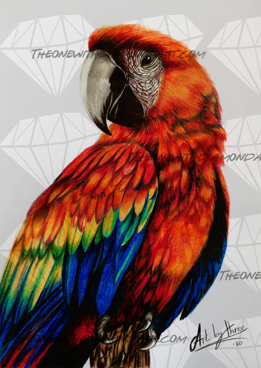 Parrot ©ArtByThree