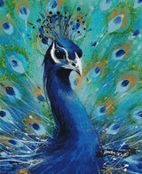 Peacock Blue ©David Finney