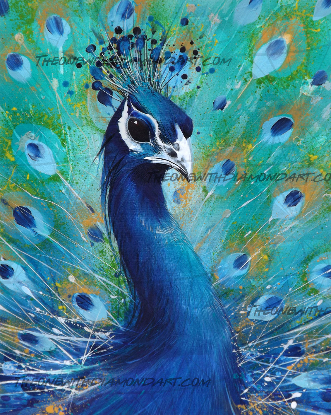 Peacock Blue ©David Finney