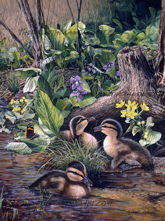 Quiet Stream ©Russell Cobane. Licensed by MGL, www.mglart.com