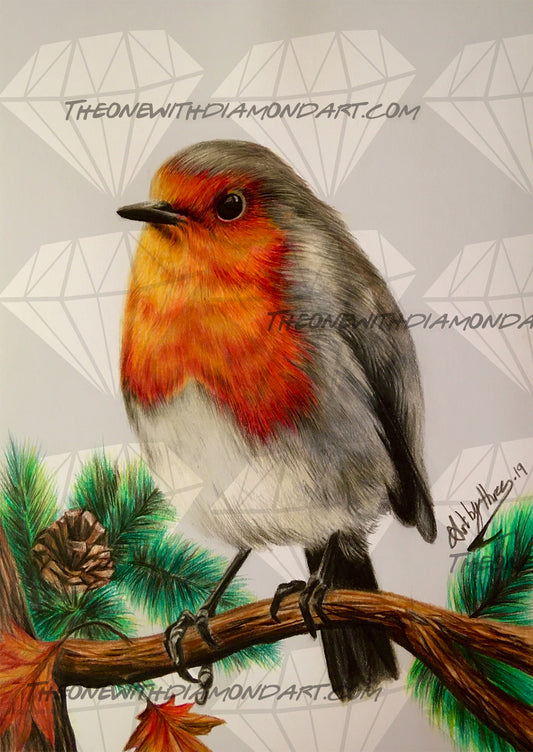 Robin ©ArtByThree