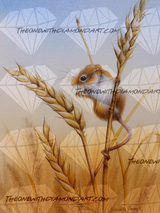 Harvest ©David Finney