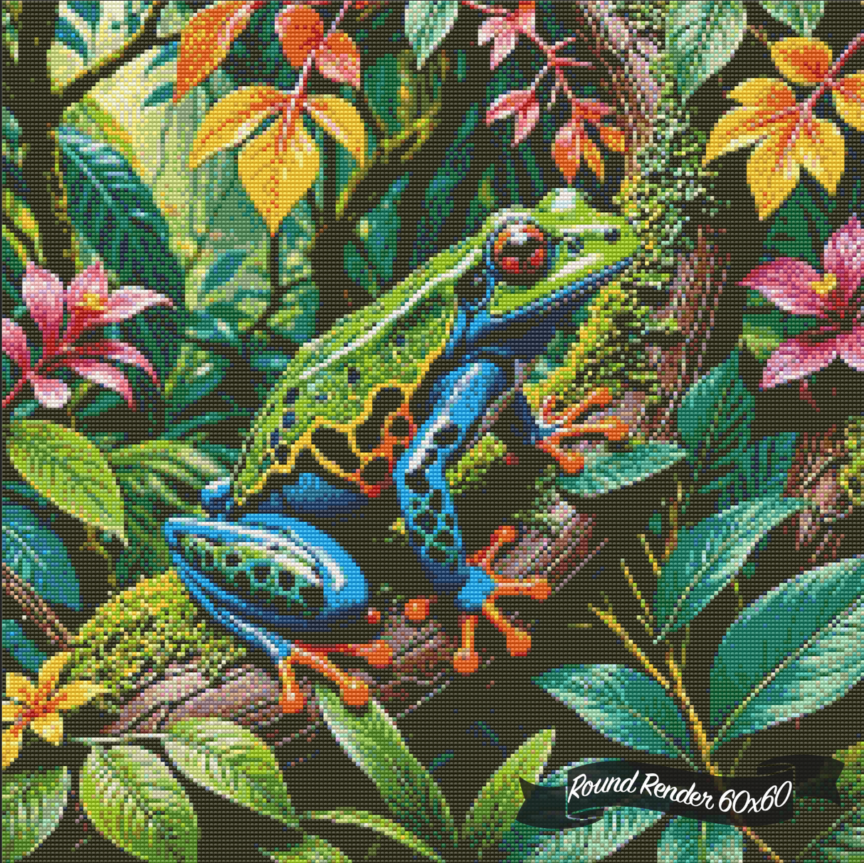 Rainforest Frog ©Morrigan Austin