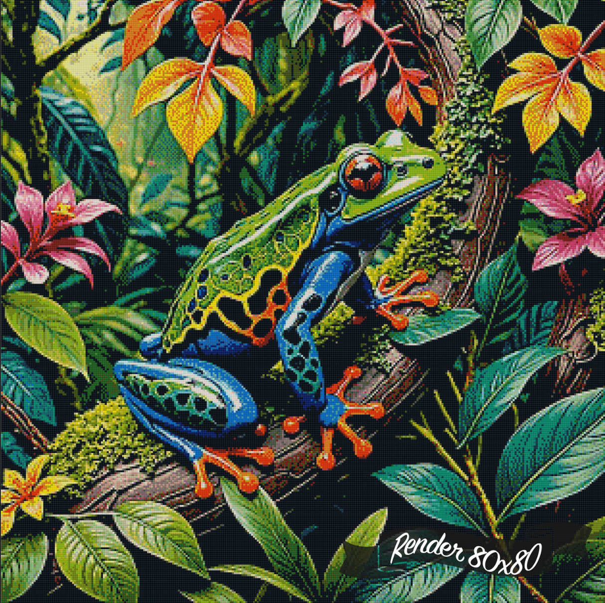 Rainforest Frog ©Morrigan Austin