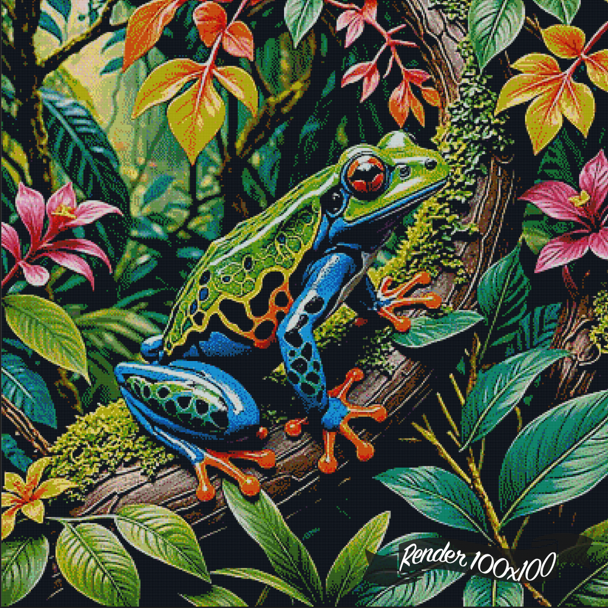 Rainforest Frog ©Morrigan Austin