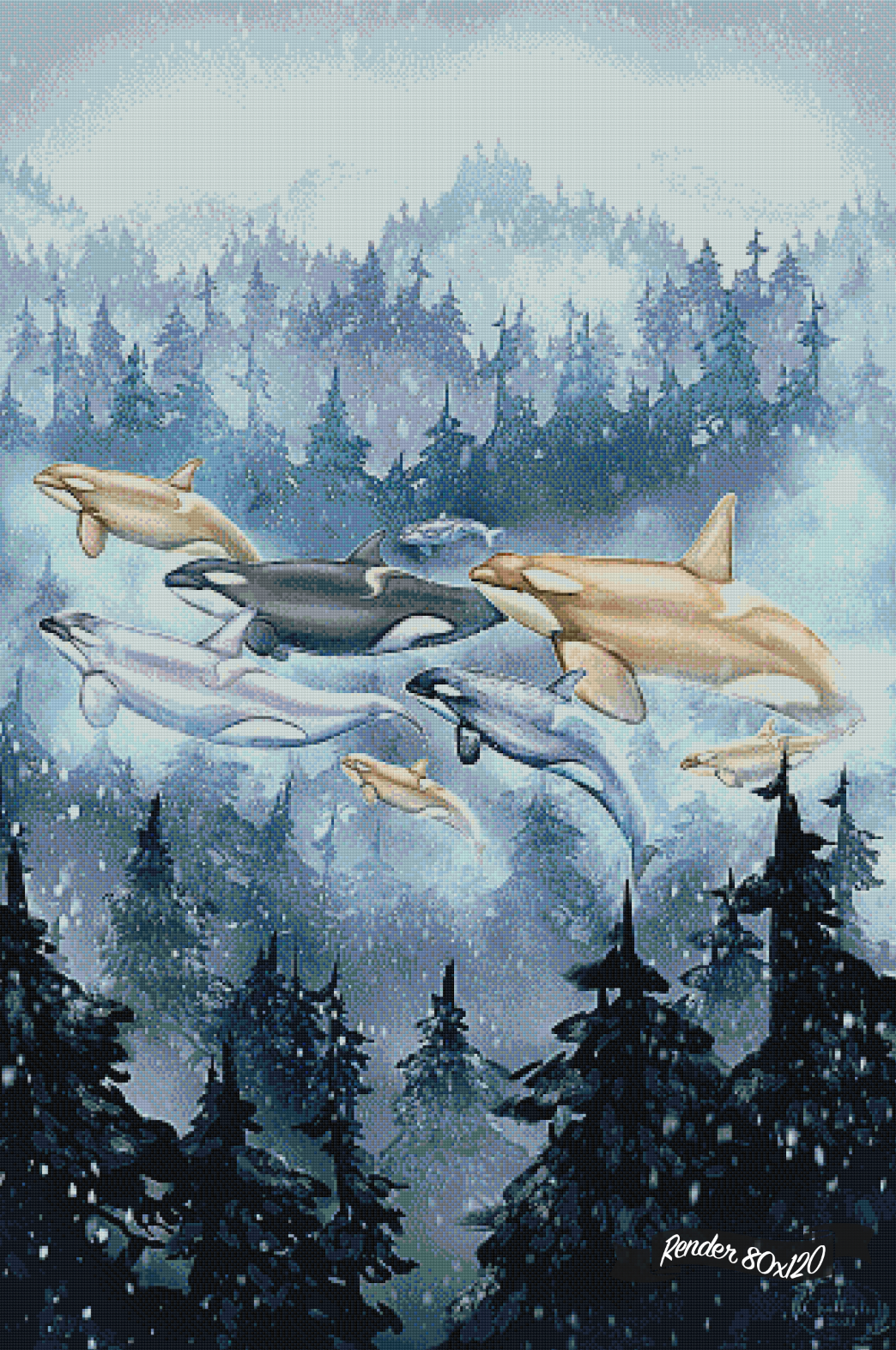 Transcendent Orca - Surfacing ©Chellosia