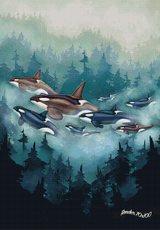 Transcendent Orca - Transient ©Chellosia