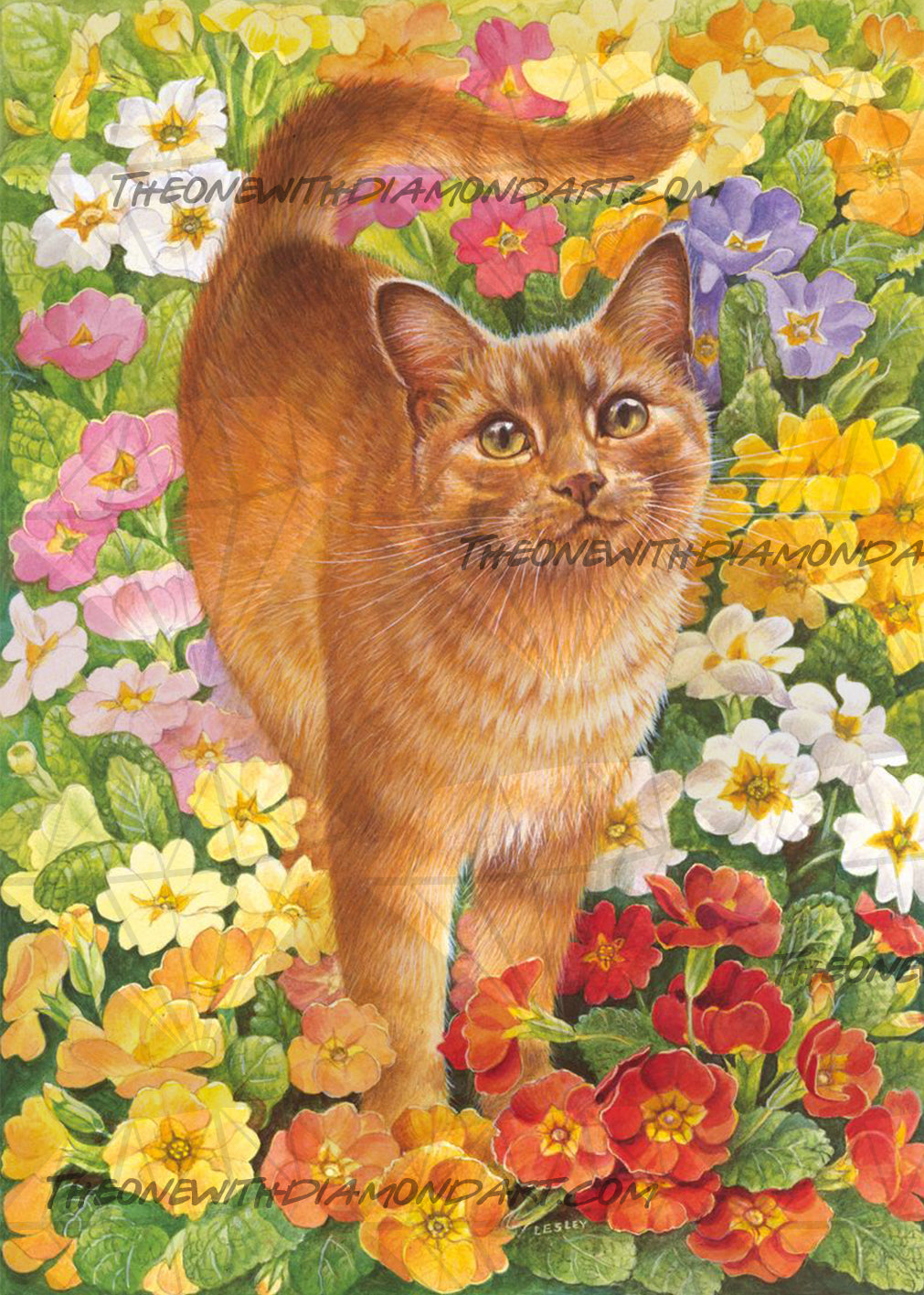 *Paint By Numbers* Spiro Amongst Primulas ©Ivory Cats