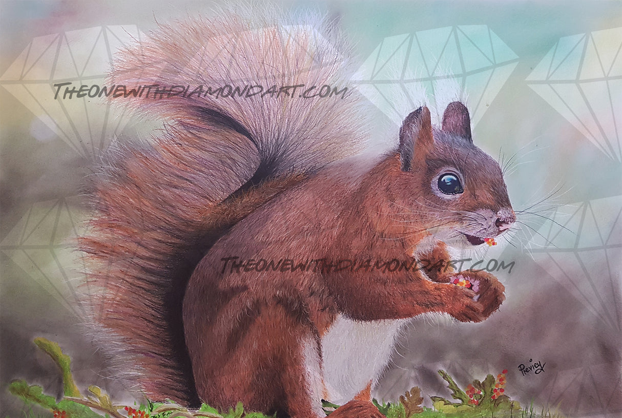 Squirrel ©Previey