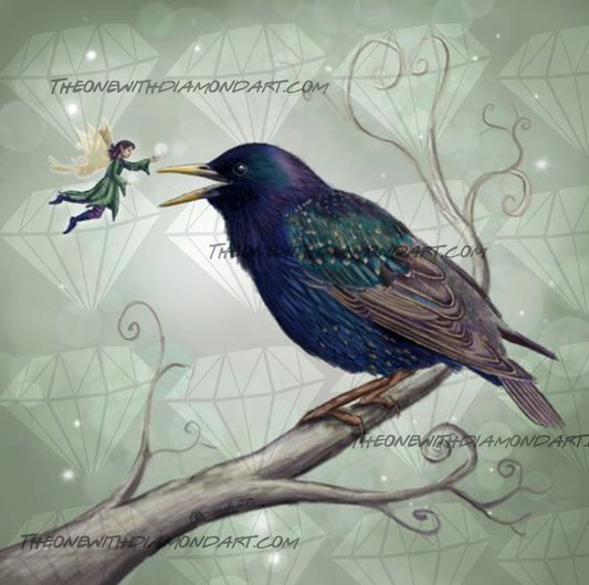 Starling And Fairy ©Rachel Blackwell