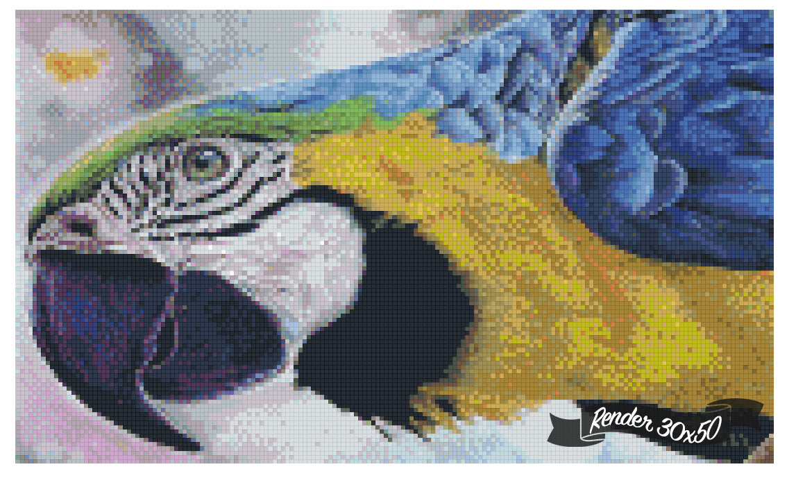 The Parrot ©Previey