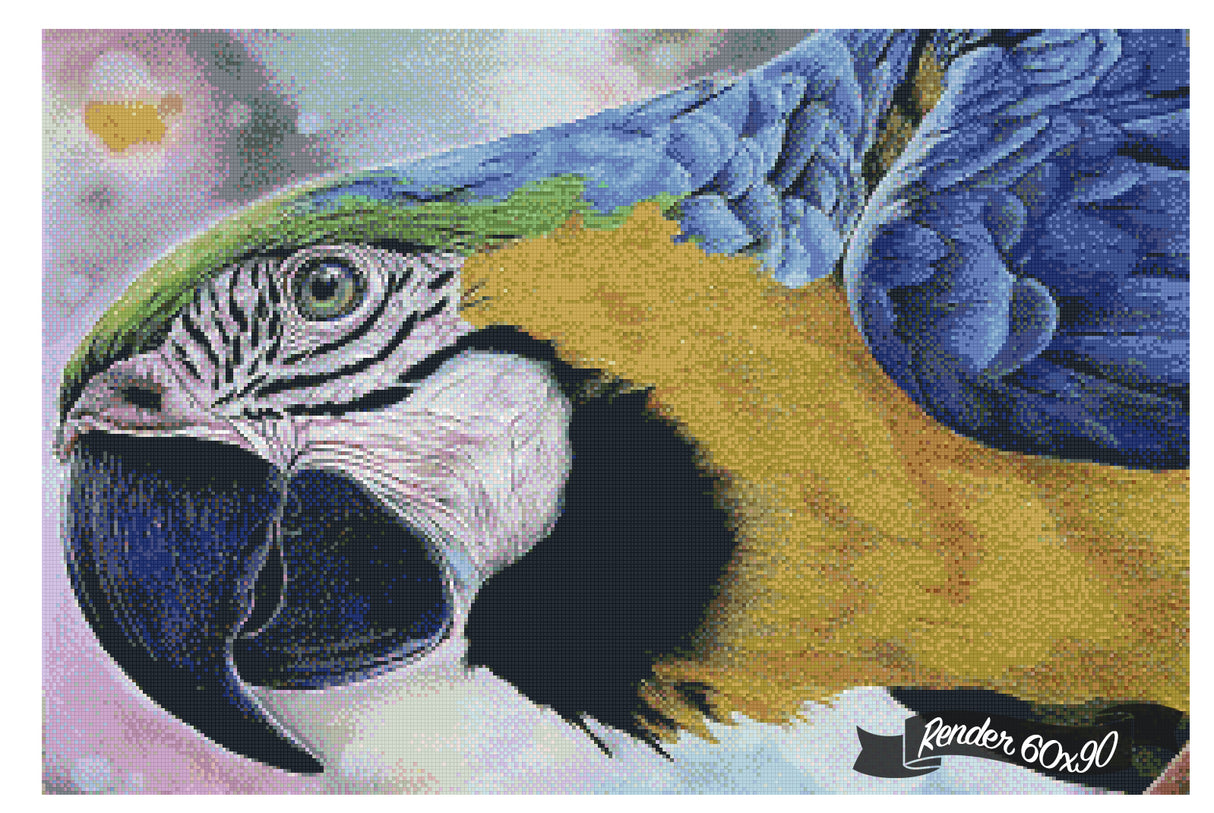 The Parrot ©Previey