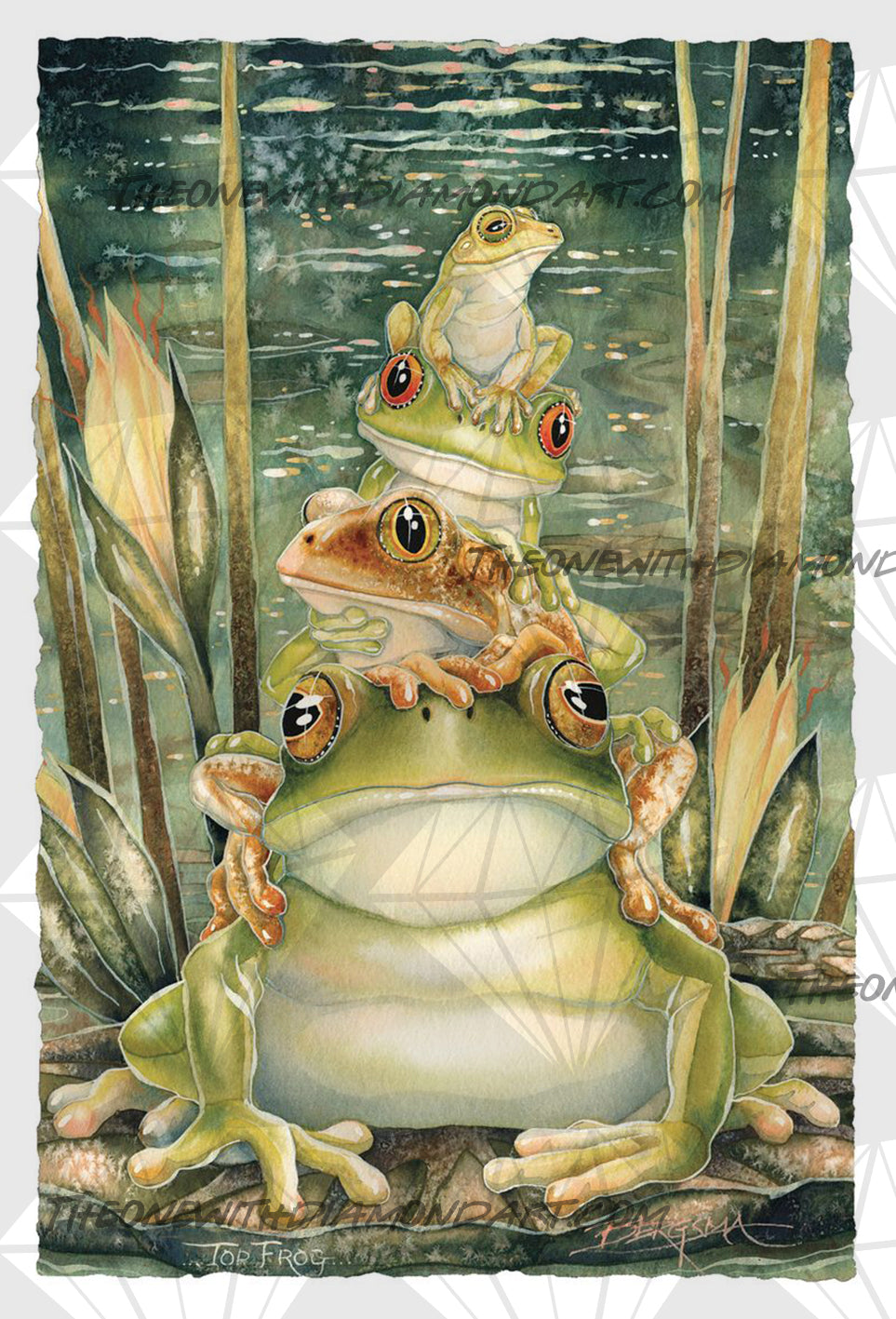 Top Frog ©Jody Bergsma. Licensed by MGL, www.mglart.com