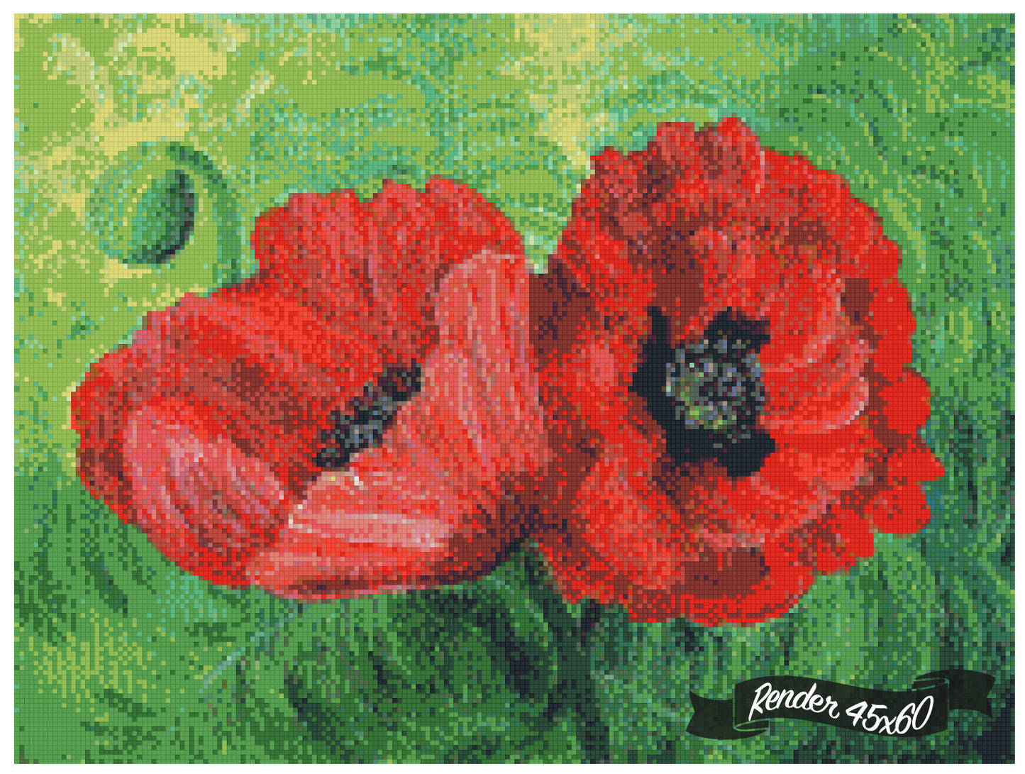 Two Red Poppies ©Laura Milnor Iverson