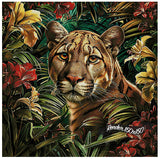 Wilderness Beauty ©Artifey