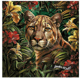 Wilderness Beauty ©Artifey