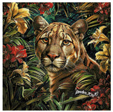 Wilderness Beauty ©Artifey