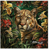 Wilderness Beauty ©Artifey