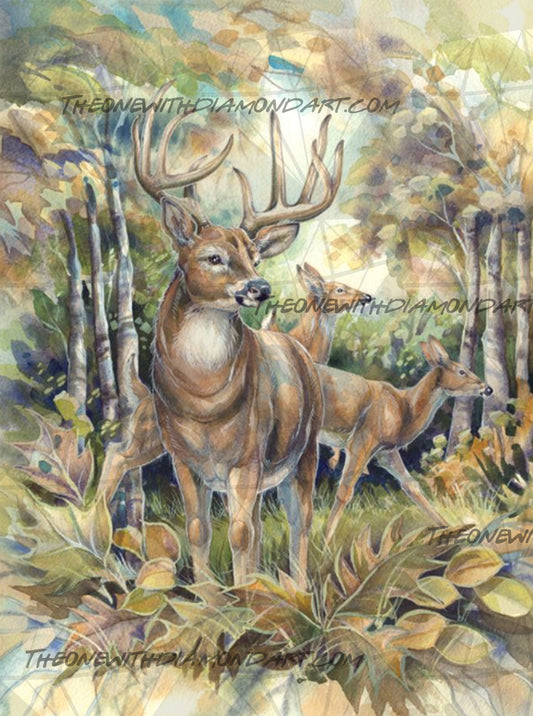 Woodland Wanderer ©Jody Bergsma. Licensed by MGL, www.mglart.com