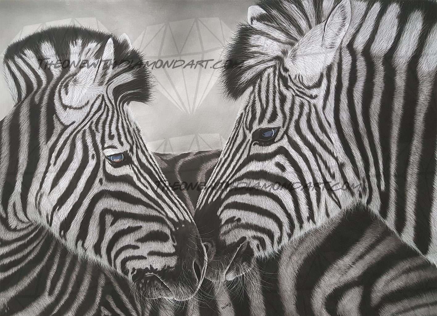 Zebra Kiss ©Previey