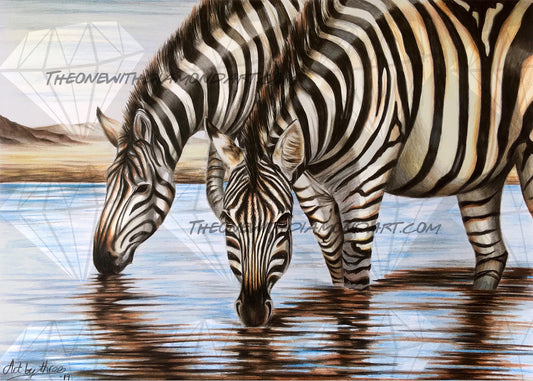 Zebras ©ArtByThree