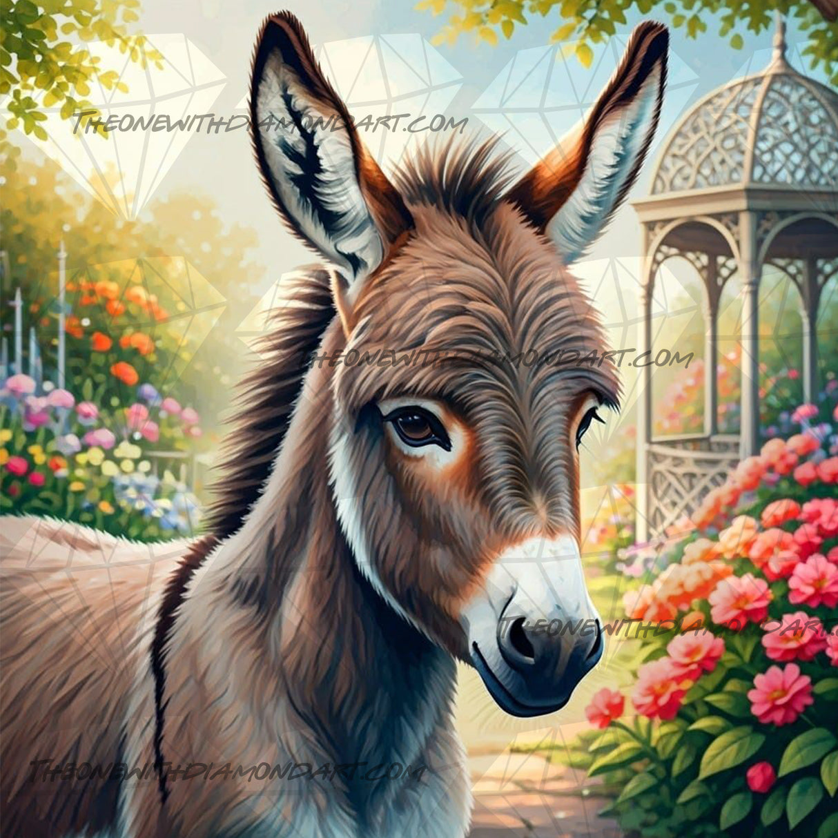 A Donkey's Sanctuary ©Morrigan Austin