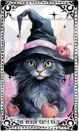 The Black Cat's Gaze