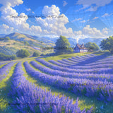 Lavender Fields ©Artifey