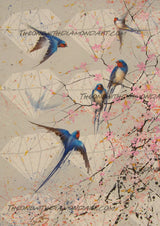 Summer Swallows ©David Finney