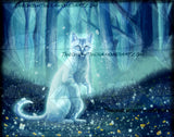 Ghost Cat ©Chellosia