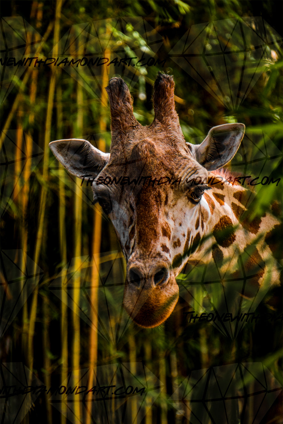 Peeking Giraffe