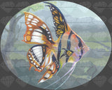 Poissons Volants Etude 1 ©Jasmine Becket Griffith