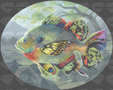 Poissons Volants Etude 2 ©Jasmine Becket Griffith