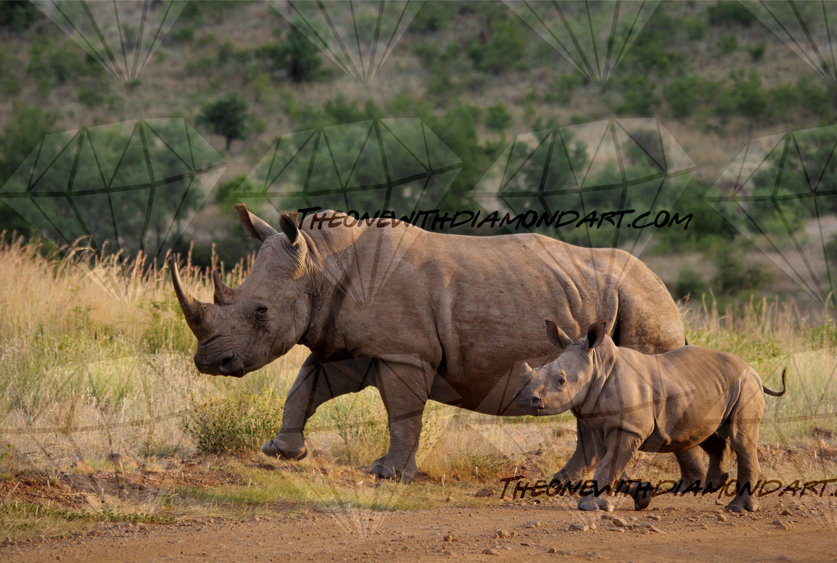 Rhinos