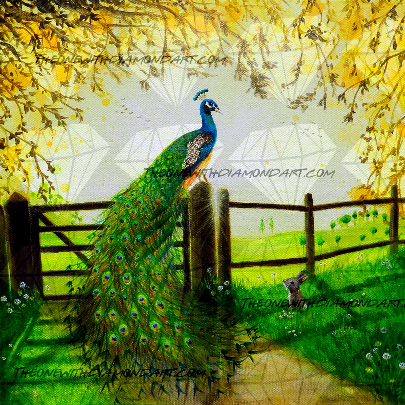 A Free Kingdom ©River Peacock