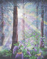 Butterfly Grove In Redwood Forest ©Laura Milnor Iverson